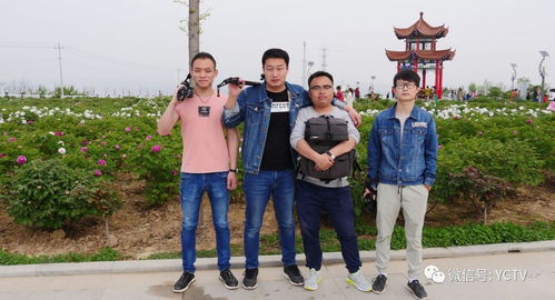 影視宣傳，我們是認(rèn)真的——西安網(wǎng)站建設(shè)助力影視行業(yè)騰飛